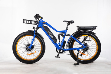 E-CELLS SUPER MONARCH AWD 700 1000 W