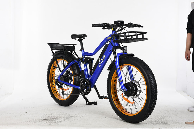 E-CELLS SUPER MONARCH AWD 700 1000 W