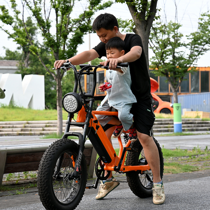 Takakeskuksen moottoripyörä 20 'tuuman rasvarenkaan kaksoisrunkojousitushaarukalla pitkällä istuimen sähköpyörällä