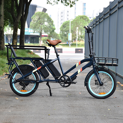TDN03Z Cargo Electric Bike Takanapa Moottori Sähköpyörä 20 ' Ohuempi rengaspyörä
