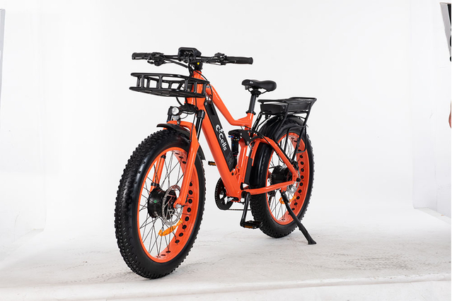 E-CELLS SUPER MONARCH AWD 700 1000 W