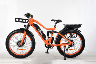 E-CELLS SUPER MONARCH AWD 700 1000 W